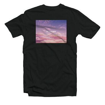 Tシャツ メンズ レディース 半袖 おしゃれ プリント クルーネック ブラック ホワイト グレー 綿100% コットン 春 夏 春服 夏服 メンズファッション カジュアル 風景 景色 ハワイアン