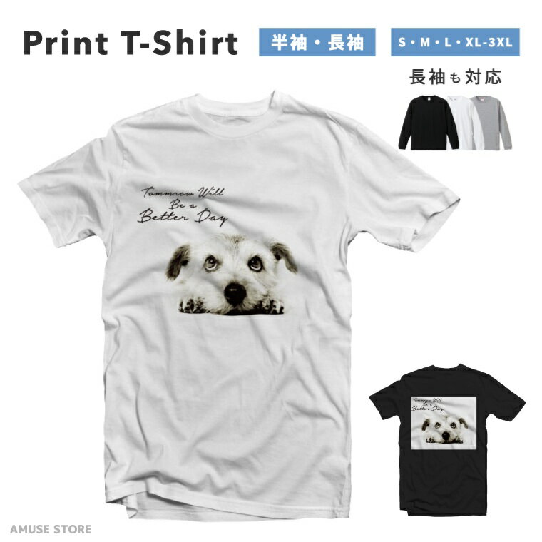 T����� ��� Ⱦµ Ĺµ ������� �ץ��� ��100% �礭�������� ������������ ��ǥ����� ���åȥ� �֥�å� �ۥ磻�� ���졼 �����奢�� �ե��å�...