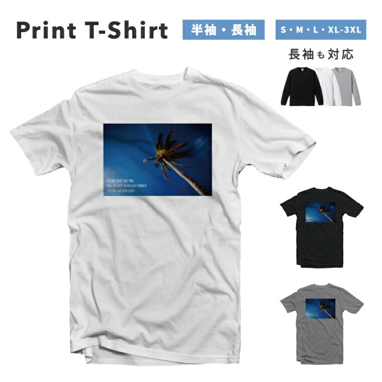 T����� ��� Ⱦµ Ĺµ ������� �ץ��� ��100% �礭�������� ������������ ��ǥ����� ���åȥ� �֥�å� �ۥ磻�� ���졼 �����奢�� �ե��å�...