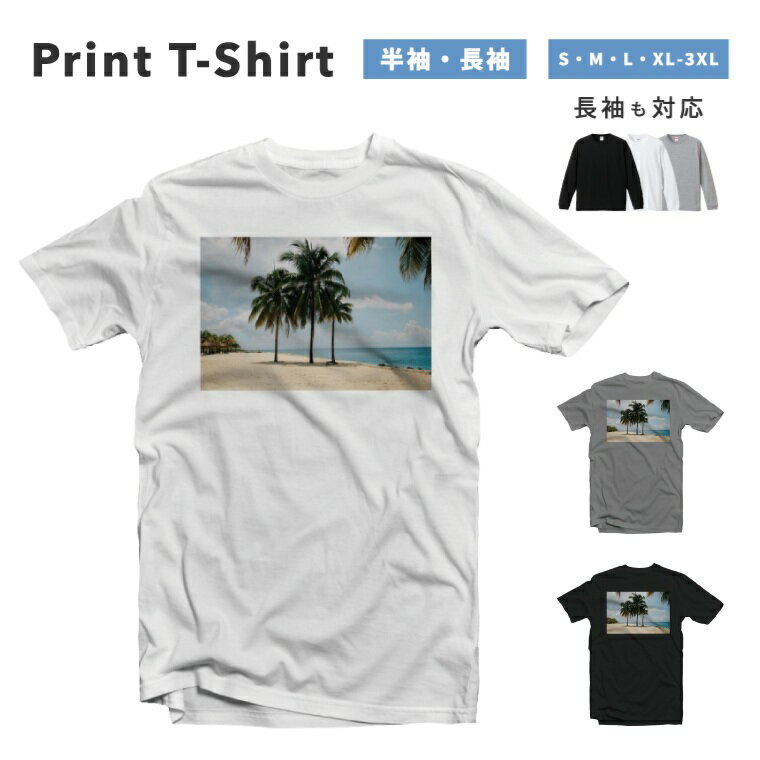 T����� ��� Ⱦµ Ĺµ ������� �ץ��� ��100% �礭�������� ������������ ��ǥ����� ���åȥ� �֥�å� �ۥ磻�� ���졼 �����奢�� �ե��å�...