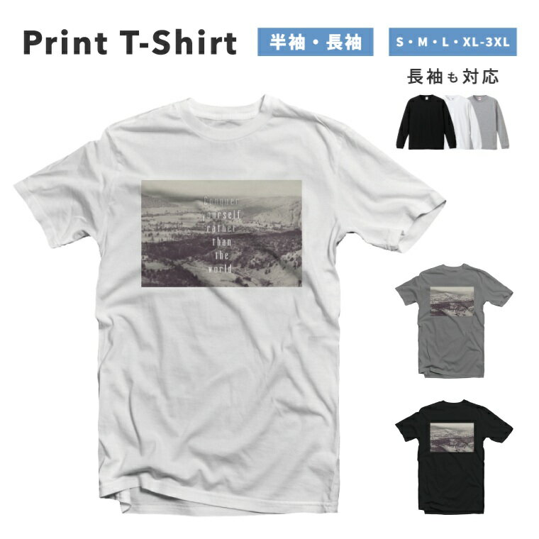 Tシャツ メンズ 半袖 長袖 おしゃれ プリント 綿100% 大きいサイズ 小さいサイズ レディース コットン ブラック ホワイト グレー カジュアル ファッション 5.6オンス 白Tシャツ 黒Tシャツ 推し かわいい 風景 景色