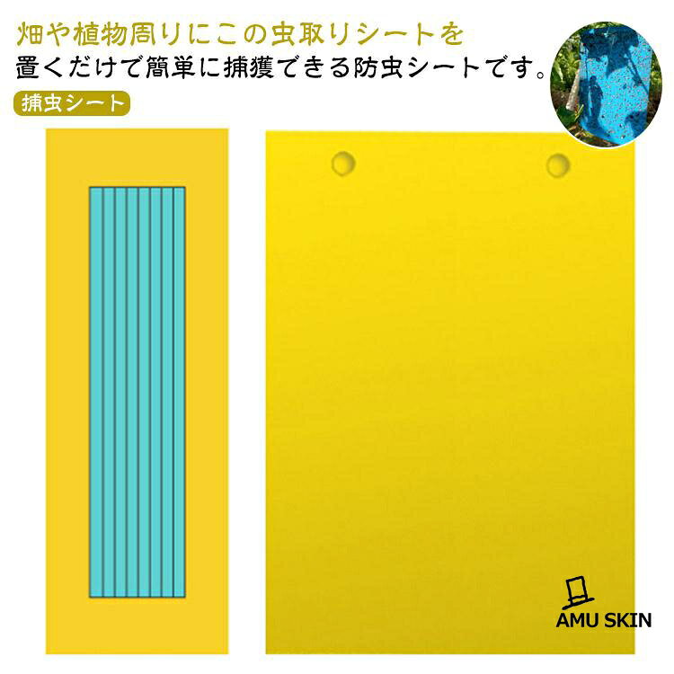 【楽天スーパーSALE】粘着マット コバエ 40枚セット 虫よけ 両面粘着紙 害虫捕獲粘着紙 ハエ取り紙 粘着シート 虫取りシート 捕虫シート 粘着トラップ 40枚セッ