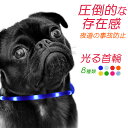 楽天AmVision88犬 首輪 光る レインボー おしゃれ LED ライト USB 充電式 猫 光る首輪 ペット 夜 散歩 くびわ 負担 少ない 小型犬 柴犬 犬首輪 犬の首輪 かわいい ブランド 中型犬 いぬ 革 レザー 皮 軽い 犬用首輪 ピンク イエロー ブルー