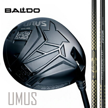 BALDO UNUSウヌス　MODEL DO（ストレートフェード）ドライバー/LOOPループプロトタイプIP