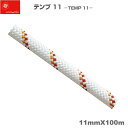 エーデルワイス EDELWEISS 耐薬品・難燃 セミスタティックロープ テンプ 11 ホワイト TEMP 11 ホワイト11mm×100m 【CSTPA11】