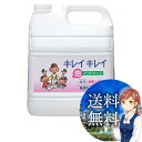 yzyZ[zCOSTCO RXgR ʔ LCLC pnh\[v 4L KIREI KIREI FORM HAND SOAP CInCW[yITEM/15432z| Ɩp l A