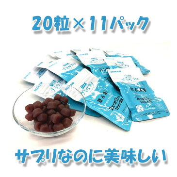 【本州送料無料】 コストコ COSTCO UHA味覚糖 グミサプリ 鉄 + 葉酸 220 粒 【ITEM/21001】