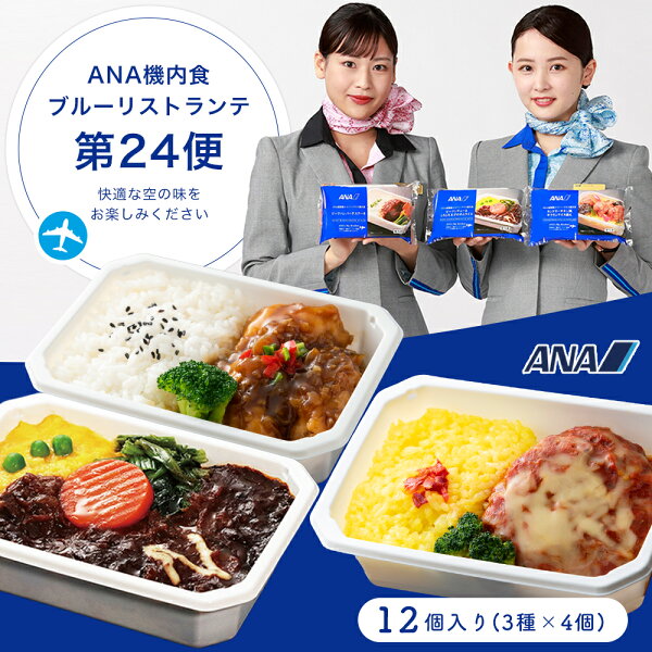 【 ANA's Sky Kitchen 】おうちで旅気分！！ANA国際線エコノミークラス機内食　メインディッシュ ハンバーグ フェス 第2弾　12個入り 冷凍食品 お弁当 お取り寄せグルメ 温めるだけ 簡単 時短 洋食 和食 ana アナ機内食 冷凍　冷凍弁当