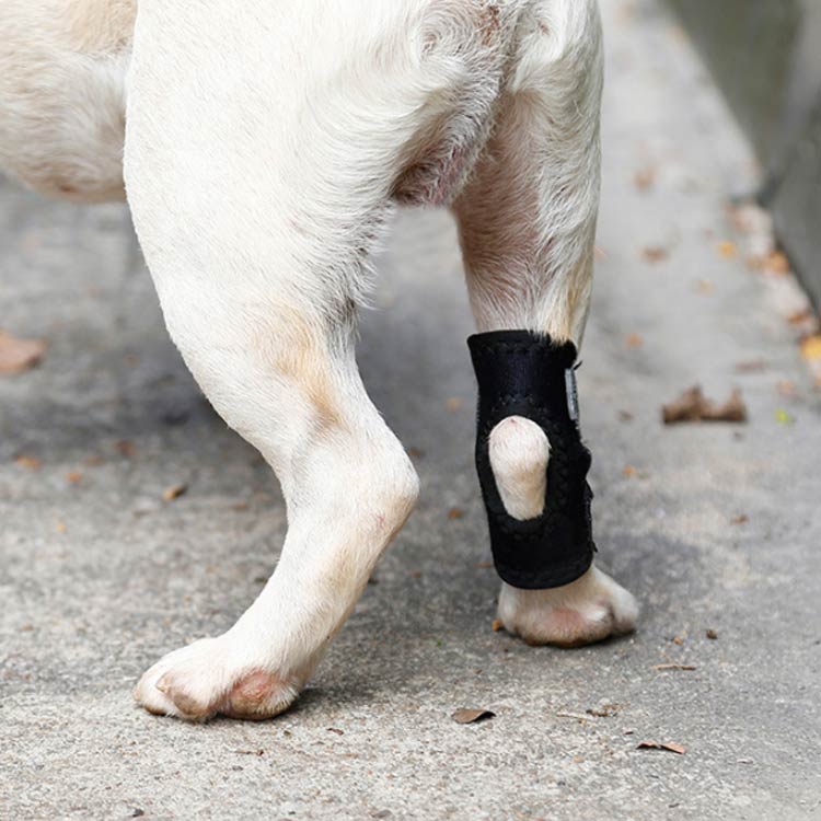 関節プロテクター 膝 用 ショートサポーター サポーター 犬骨折治療　老犬介護 関...
