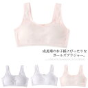 インナーブラ 2枚セット 肌着 ジュニアインナー ジュニアブラ 綿 スポーツブラ ファーストブラ メッシュ ノンワイヤー キッズ下着 女の子 ジュニア下着 小学...