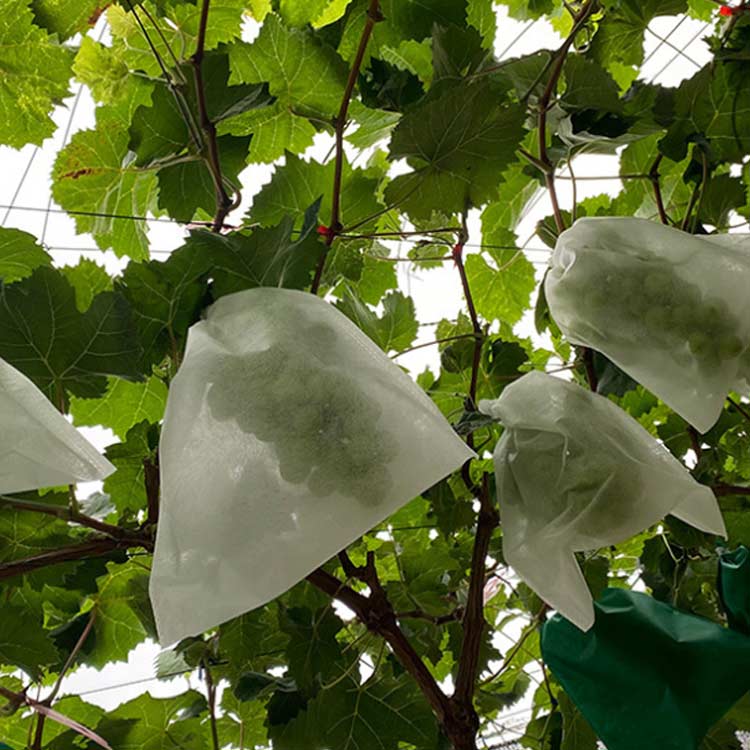不織布 100枚セット 果物保護袋 野菜 ネット フルーツネット 果物保護ネット 園芸ネット 果物袋 保護ネット 防虫 ネット 保護 防虫 防鳥 ネット 果実 巾着袋 鳥よけ網 園芸用品 ガーデニング用品 フルーツ ガーデニング 家庭菜園 種入れ フルーツネット 果実袋 3