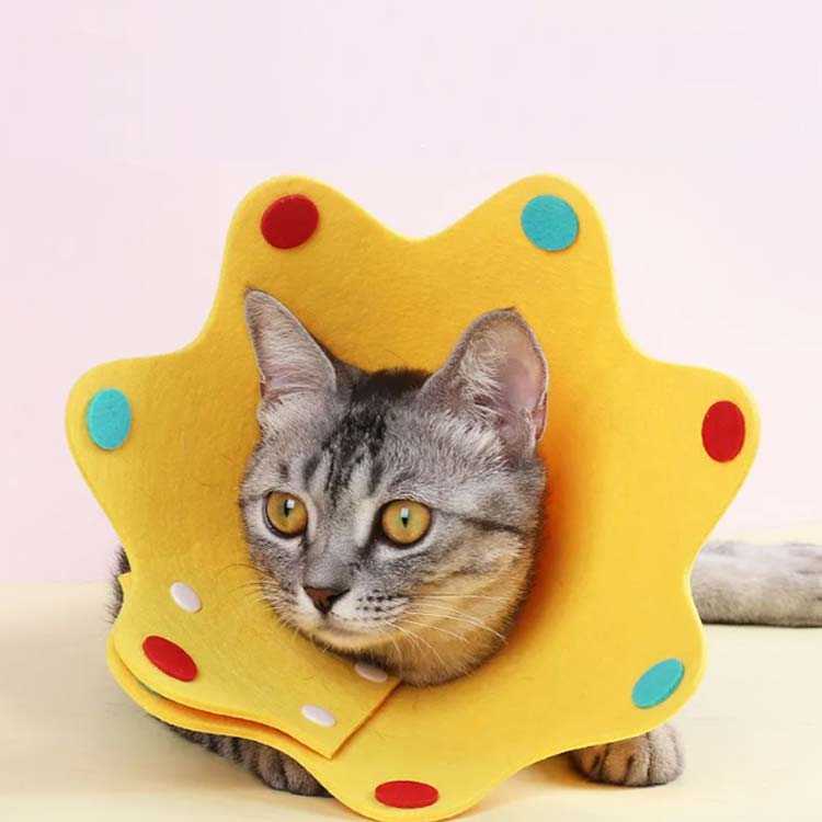 ��ñ���� ���ե� �ե���� �����ߤ��ɻ� �� ���ꥶ�٥����顼 ǭ ���顼 �İ��� ���ꥫ�� ���� �Ѹ��ɬ���� �����ݸ� 2�祻�å� ���ȥ쥹�ڸ� ������̵���ۥ��ꥶ�٥����顼 S M L 2���� �ڥå�