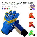 キーパーグローブ サッカー フットサル ジュニア ゴールキーパー 少年 練習用 トレーニング キッズ 大人 サッカーグローブ サッカー手袋 練習 試合用 プレゼ...