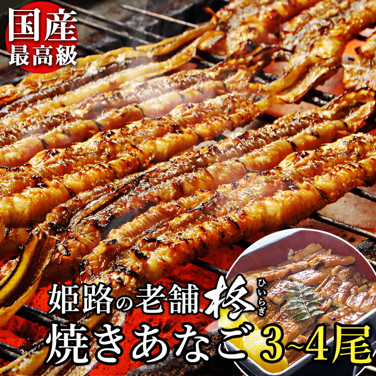 あなごの蒲焼き 【送料無料】焼き あなご 蒲焼 約22～25センチ (3〜4匹) たれ付 焼き穴子 焼きアナゴ ギフト 母の日 母の日ギフト 穴子巻き 手巻き あなごめし 穴子 冷凍 国産 姫路 お取り寄せグルメ 贈り物 お土産 お祝い 内祝い ギフト カード付