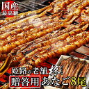 【送料無料】焼きあなご 蒲焼 ≪約27〜30cm/たれ付≫ 4本刺し 2串 焼き穴子 焼きアナゴ 母の日 母の日ギフト 穴子巻き 手巻き あなごめし..