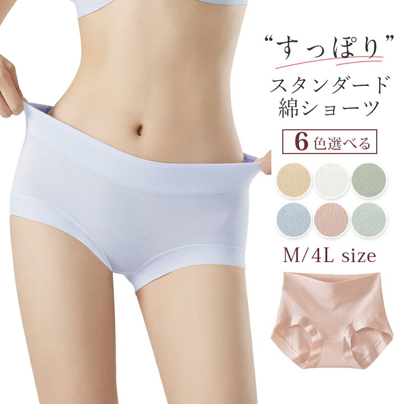 30OFFޤȤ㤤 ޤʤ ǥ ܥ 硼 100%    դʤ  M L LL 3L 4L...