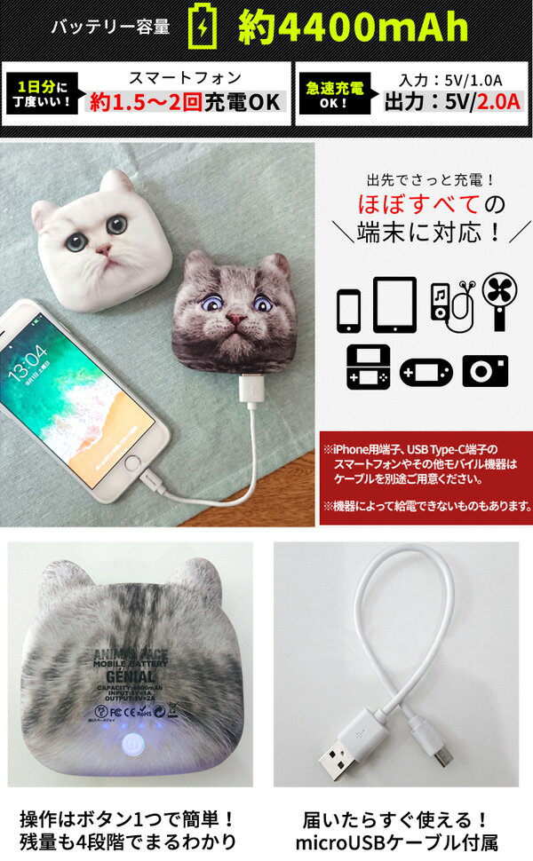 なろう 猫だってアイテムを収集すれば最強になれます ファンタジー 人外 底辺スコッパーの案内所