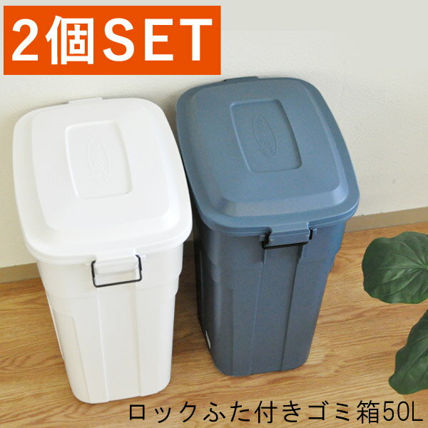 ゴミ箱 50L 2個セット ロックふた付き 日本製 [ごみ箱 50リットル ダストボックス キッチン 分別 おしゃれ ふた付き …