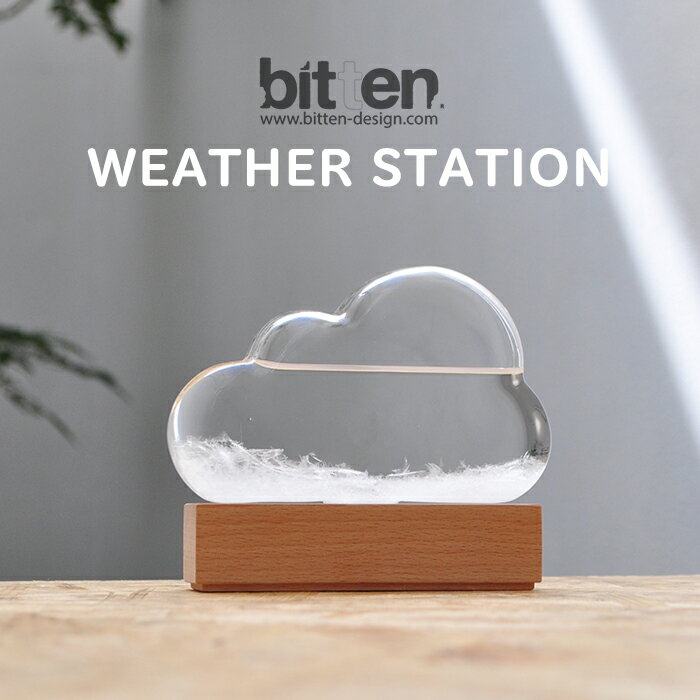 ストームクラウド ウェザーステーション bitten STORM CLOUD ストームグラス | インテリア雑貨 晴雨予報グラス 結晶 硝子 ガラス 置物 オブジェ かわいい おしゃれ 天気予測機器 天気予報 テンポドロップ 雲 北欧 雑貨 気象計 プレゼント ギフト 贈り物 お祝い 送料無料