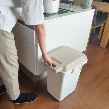 ゴミ箱 防臭 ワンハンドルペール 33L 日本製 ロック付き 臭い漏れしにくい メーカー直送