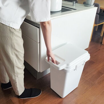 ゴミ箱 SIAA 抗菌 防臭 防汚 ワンハンドルペール 33L 日本製 ロック付き 臭い漏れしにくい メーカー直送