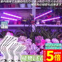 \エントリーでP5倍 お買い物マラソン/植物育成ライト 植物育成ランプ LED植物育成灯 3個セット 室内栽培ランプ 3つ照明モード 9段階調光 観葉植物 4ヘ...