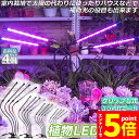 \エントリーでP5倍 お買い物マラソン/植物育成ライト 植物育成ランプ LED植物育成灯 4個セット 室内栽培ランプ 3つ照明モード 9段階調光 観葉植物 4ヘ...