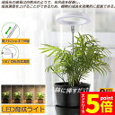 \エントリーでP5倍 お買い物マラソン/LED植物育成ライト 植物育成ライト 鉢植えに差し込む 2点セット 4段階調光 LED 植物ライト 植物育成ランプ 観葉...
