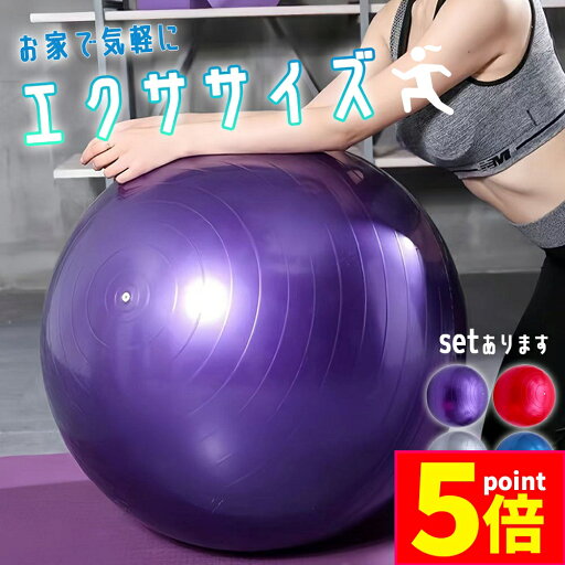 ★P5倍 マラソン★バランスボール ヨガボール ヨガ 椅子 直径55cm ジムボール フィットネスボール 空気入れ付き 体幹 トレーニング エクササイズ 自宅 トレ 筋トレ ダイエット 姿勢 腰痛 対策 インナーマッスル 滑り止め アンチバ ★P5倍 マラソン★バランスボール ヨガボール ヨガ 椅子 直径55cm ジムボール フィットネスボール 空気入れ付き 体幹 トレーニング エクササイズ 自宅 トレ 筋トレ ダイエット 姿勢 腰痛 対策 インナーマッスル 滑り止め アンチバ