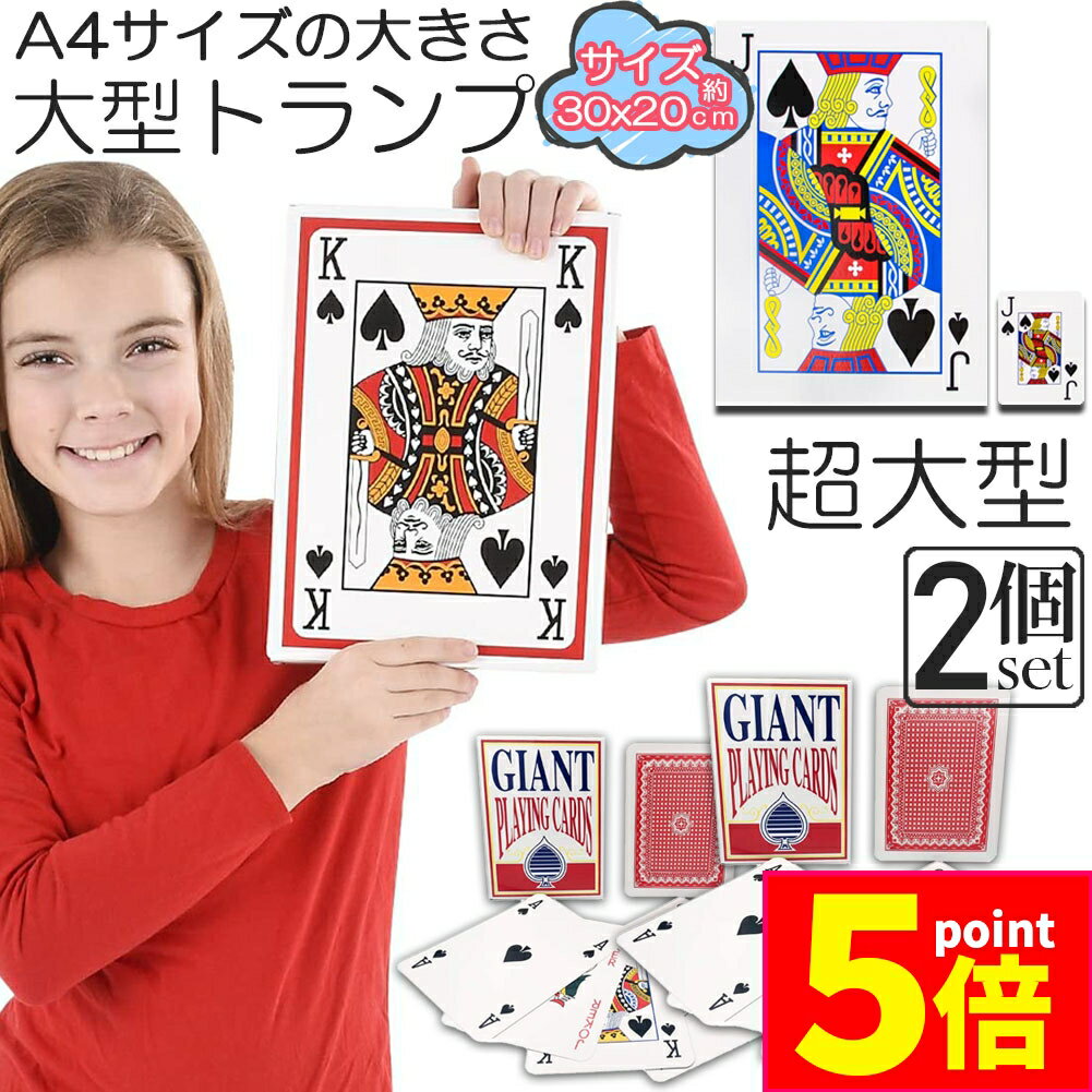 ָݥ5ܡȥ ӥå ȥ 2å 緿 礭 A4 ȥ ȥץ İ  Ϸͥۡ 쥯ꥨ ...