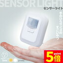 ★P5倍 マラソンセール★センサーライト フットライト 人感 コンセント式 室内 明るさ調節 点灯時間設定 足元灯 省エネ フットライト 電球色 暖色 白色 照明 モーションセンサー 人感センサー 暗闇センサー コンパクト 寝室 玄関 子供