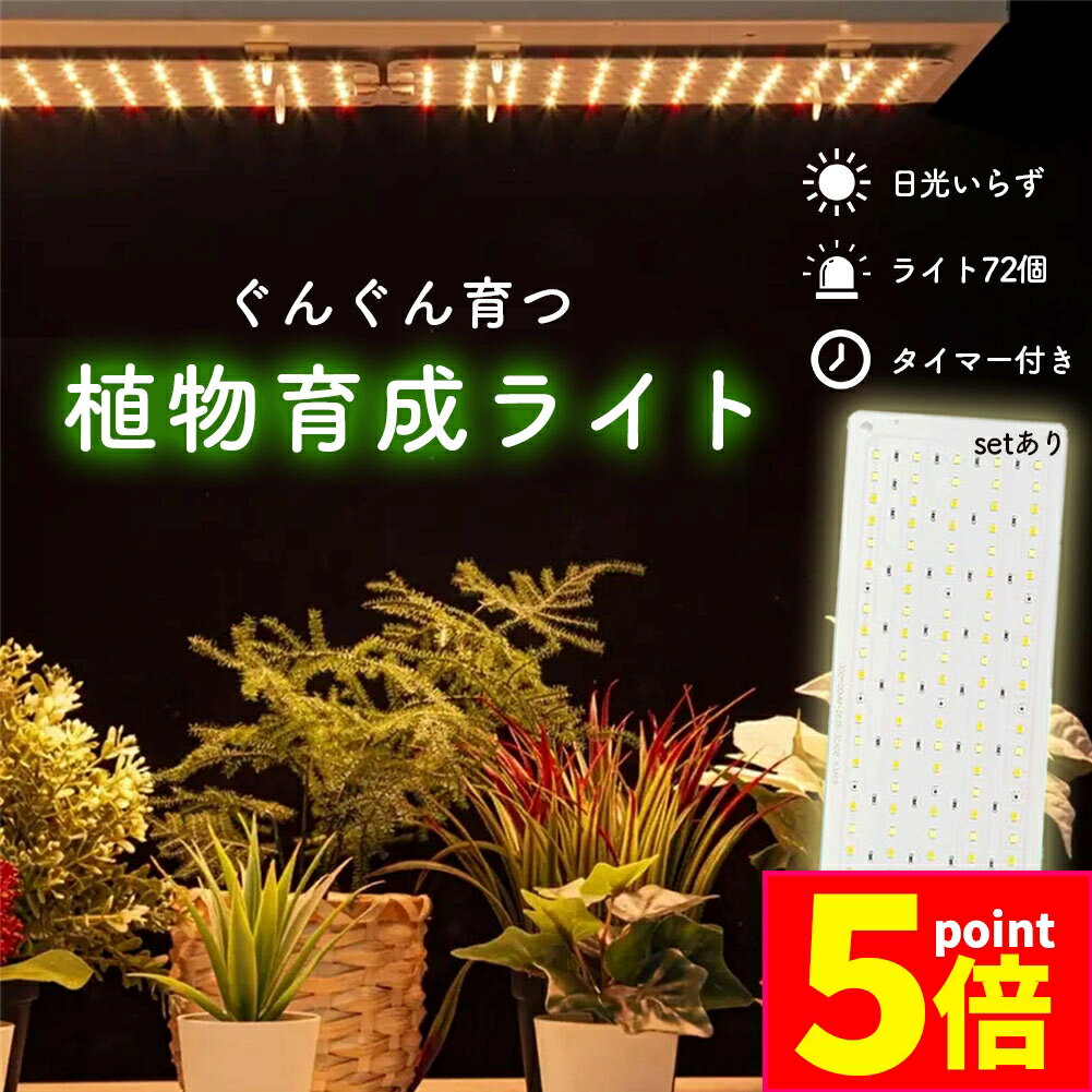 ʥ߳ŷԾŹ㤨ָ֡ݥ5ܡLEDʪ饤 ʪ饤  ľ  ѥͥ 5ʳĴ LED ʪ饤 ʪ տʪѥ饤 ݥ ǽ ޡ ⵱ ĥ饤 տʪ ¿ʪ  ե륹פβǤʤ1,480ߤˤʤޤ