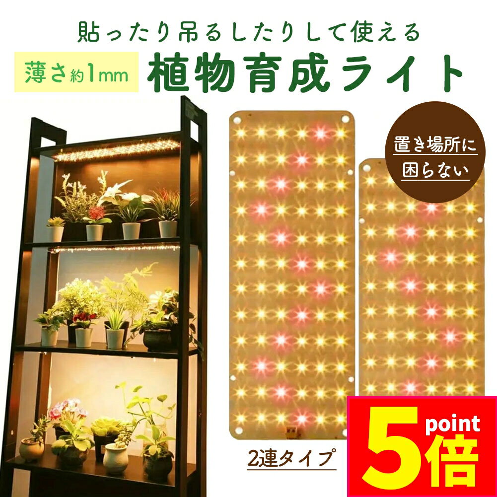 ʥ߳ŷԾŹ㤨ָ֡ݥ5ܡLEDʪ饤 ʪ饤 2Ϣ 2  ľ  ѥͥ 5ʳĴ LED ʪ饤 ʪ տʪѥ饤 ݥ ǽ ޡ ⵱ ĥ饤 տʪ ¿ʪפβǤʤ1,580ߤˤʤޤ