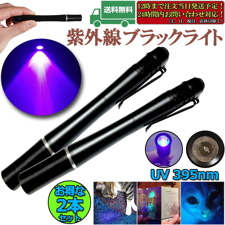★期間限定！ポイント5倍★【ランキング受賞！】 ブラックライト 2本セット ミニ 小...