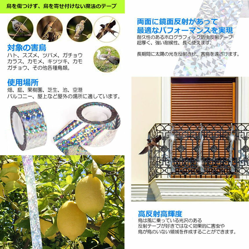 Ļ�褱�ơ��� 50m 2�ĥ��å� ȷ�褱 ���饹�褱 ���餹���� ���饹�к� Ļ���к� ��Ļ ���å� �ߤ겼���� �� �����ǥ� �Ȥ�褱 Ļ ���饹 ȷ ������ �褱 ��Ļ�ۥ������ơ��� �ڱ� �̼� ��Ȫ ����