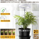 LED植物育成ライト 植物育成ライト 鉢植えに差し込む 2点セット 4段階調光 LED 植物ライト 植物育成ランプ 観葉植物用ライト 室内栽培ランプ 自動オン/...