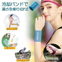 冷感アイスバンド クール リストバンド 2サイズ選べる ブルー スポーツ用 リストバンド 冷却 涼しい 男女兼用 フィットネス ジム エクササイズ 夏用 冷感 ...