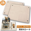 【超P祭り・限定ポイント2倍】たき火台シート 2枚セット 焚き火シート 防火シート 焚き火台シート 30x30cm 耐火 防炎 スパッタシート ガラス繊維 芝生...