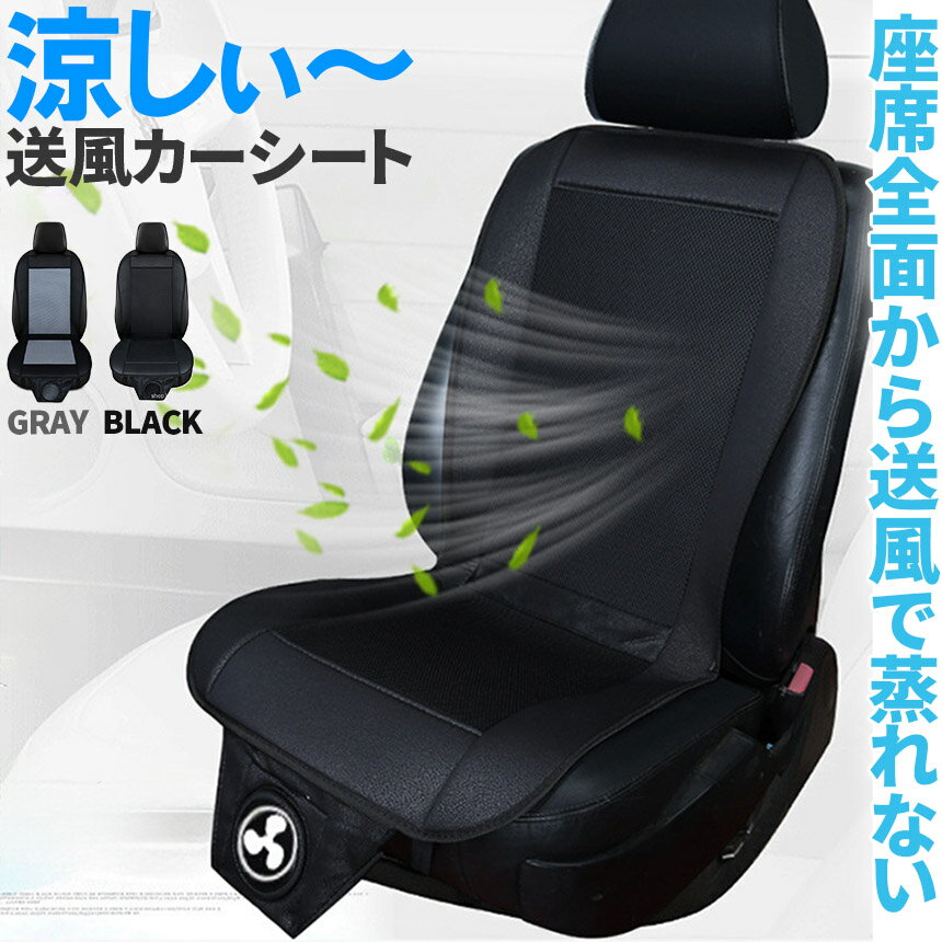 �����륷���� ���������� ���� �ե���2�ʳ� �������� ���� 2�� �֥�å� ���졼 12V �����������å��Ÿ� 2�ʳ����� �ֺ� ������ �����ȥ����顼 ���� ������ �ä��� ��Ĵ �뤵�к� �������� �ֺܥ����ȥե��� ����դ���ñ ����� �� ��Ŭ �����顼 �������� ��������