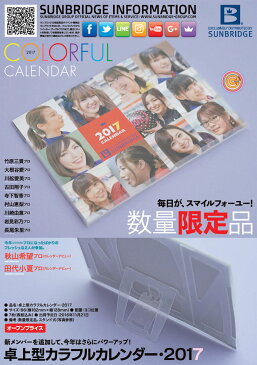 ▽【B+】◆在庫限り!◆卓上型カラフルカレンダー・2017ネコポス可(代引き除く)