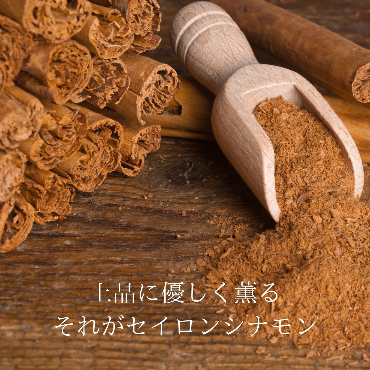 ���ʥ��ѥ�����100�󥻥����󥷥ʥ�� 35g