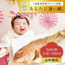 お食い初め 塩焼き鯛 祝い鯛 お食い初め用鯛 鯛の塩焼き 百日祝い 三重県南伊勢町ブランド鯛 『あなたに逢い鯛。』ブランド真鯛 ブランド鯛 <1〜1.2kg> ...