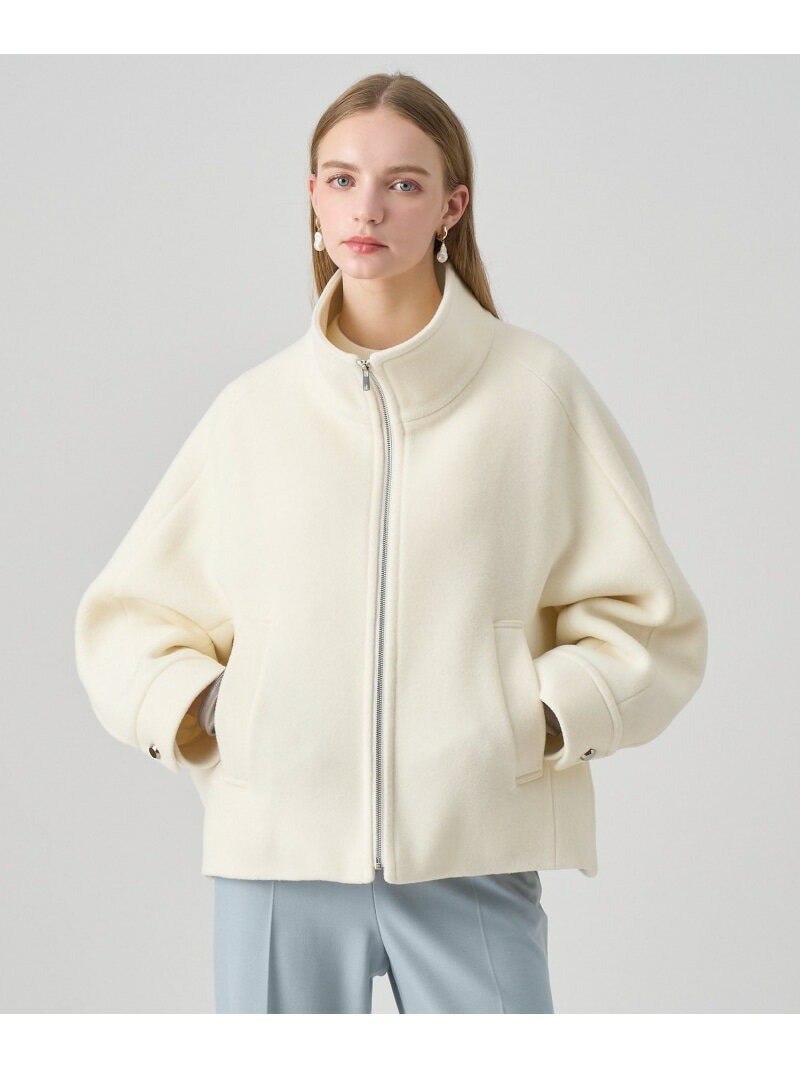 ラムショートビーバースタンドブルゾン ANAYI アナイ ジャケット・アウター その他のジャケット・アウター ブラック ホワイト ブラウン【送料無料】[Rakuten Fashion]