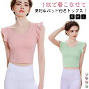 ヨガウェア トップス カップ付き レディース 半袖 ヨガトップス ピラティス ショート丈 可愛い パッド付き 無地 へそ出し スポーツウェア フィットネス ホットヨガ ストレッチ ダンス衣装 トレーニング 送料無料|詳細画像