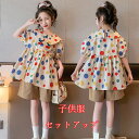 送料無料 子供服 セットアップ 女の子 韓国子供服 キッズ 可愛い 半袖 Tシャツ +パンツ ワイドパンツ 水玉柄上下セット ガールズ 韓国 トップス ボトムス 2点セット Tシャツ ショートパンツ 2点セット おしゃれ オシャレ お出かけ120/130/140 /150/160/170cm