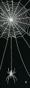 手ぬぐい「蜘蛛 黒」くも/クモ/spider/ハロウィン/Halloween/てぬぐい