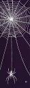 手ぬぐい「蜘蛛 紫」くも/クモ/spider/ハロウィン/Halloween/てぬぐい