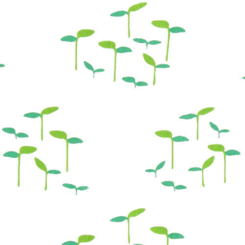 手ぬぐい「芽吹き 黄緑」新芽/発芽/グリーン/...の紹介画像2