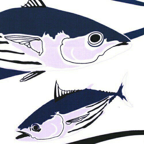 手ぬぐい「旬鰹」鰹／魚／初夏／和食／釣り／父の日／てぬぐい