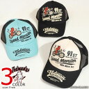 TEDMAN SPEED MONSTER メッシュキャップ TDC-8800 テッドマン エフ商会 CAP 帽子